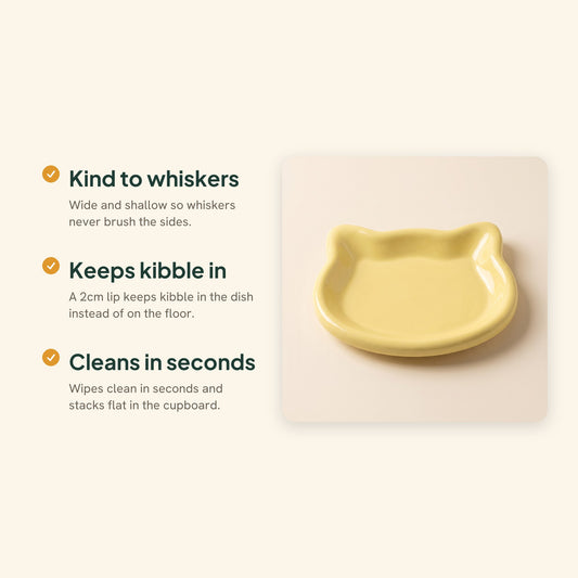 Whisker-Friendly Cat Dish, Wide and Shallow, key benefits