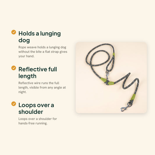 Reflective Rope Dog Leash with Alloy Hook, key benefits