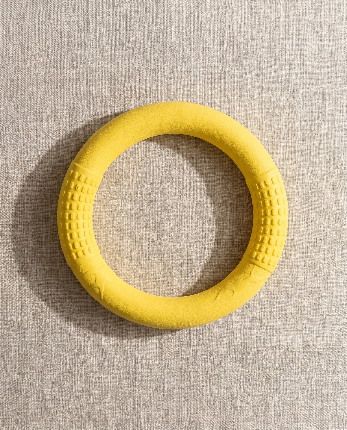Rubber Ring Tug and Fetch Toy, styled in a home setting