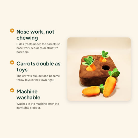 Carrot Field Snuffle Mat for Dogs, key benefits