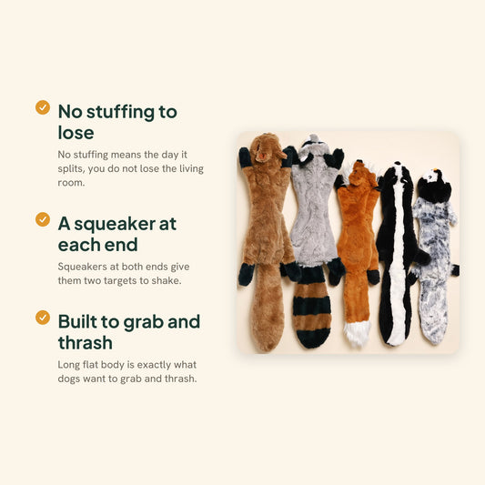 No-Stuffing Animal Squeaky Dog Toys, key benefits