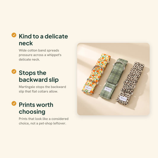 Patterned Cotton Martingale Collar, key benefits