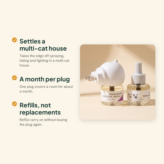 Calming Pheromone Diffuser with Refill, key benefits