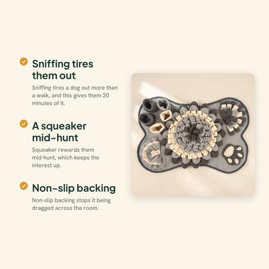 Paw-Shaped Snuffle Mat with Squeaker, key benefits
