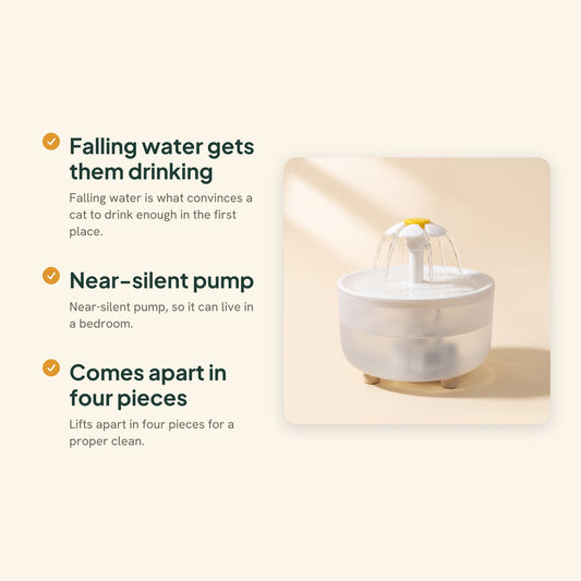 Flower Cat Water Fountain, 1200ml, key benefits