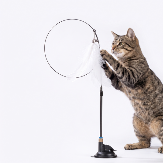 Suction Cup Feather Teaser Wand for Cats