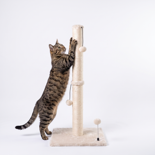 Tall Sisal Cat Scratching Post with Ball