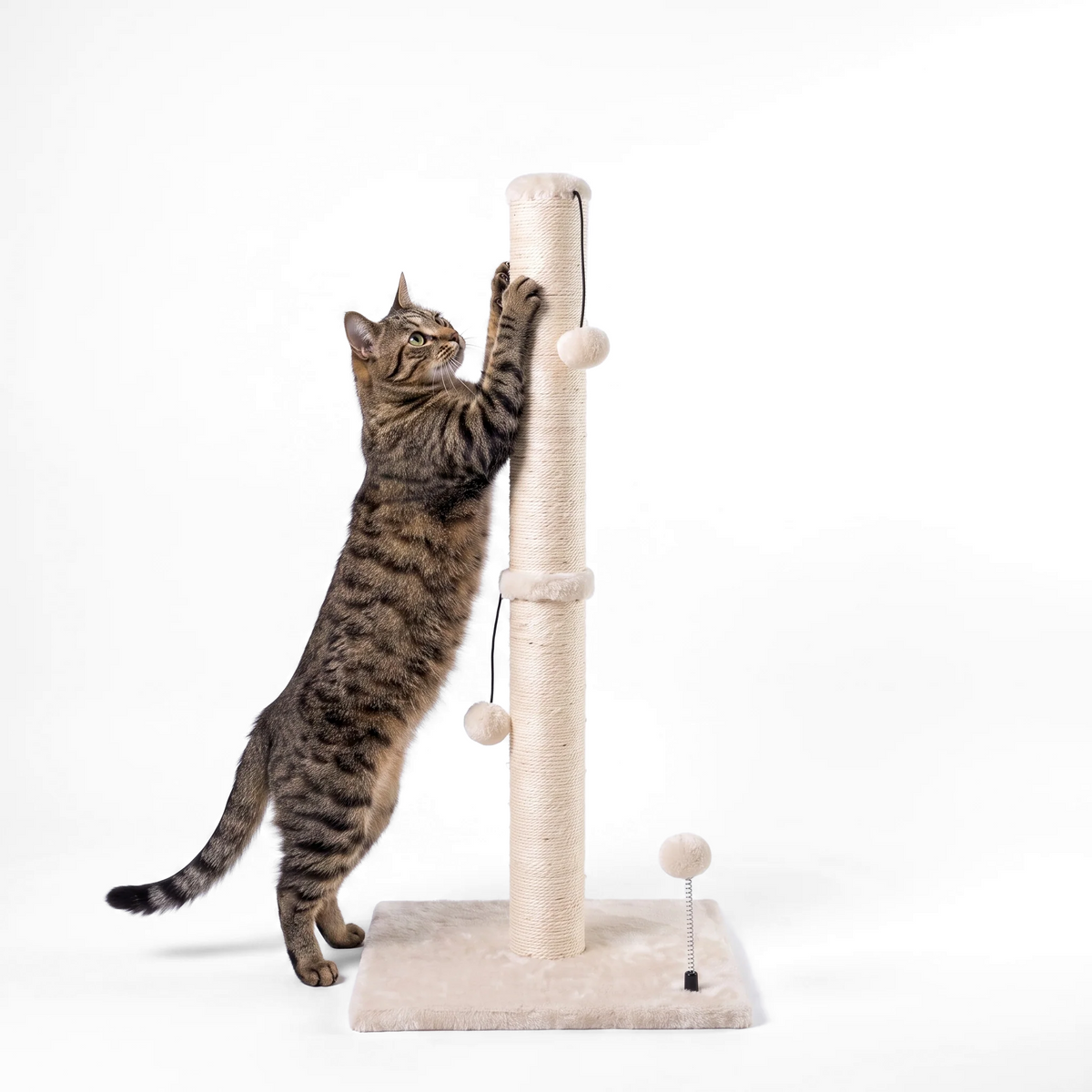 Tall Sisal Scratching Post