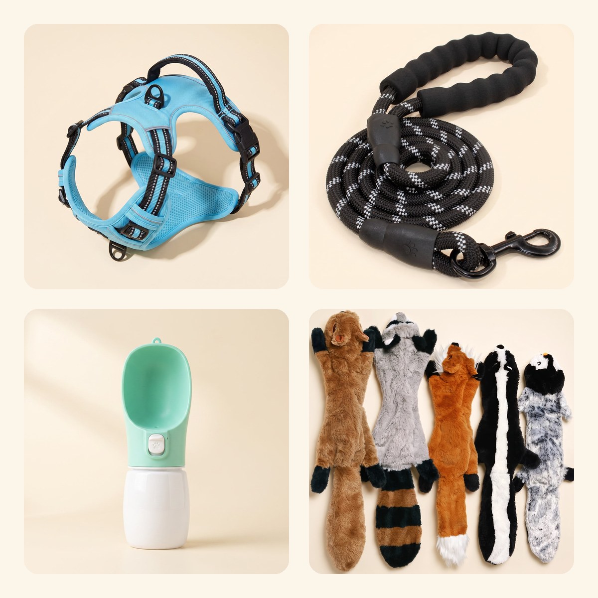 Walk & Play Dog Kit