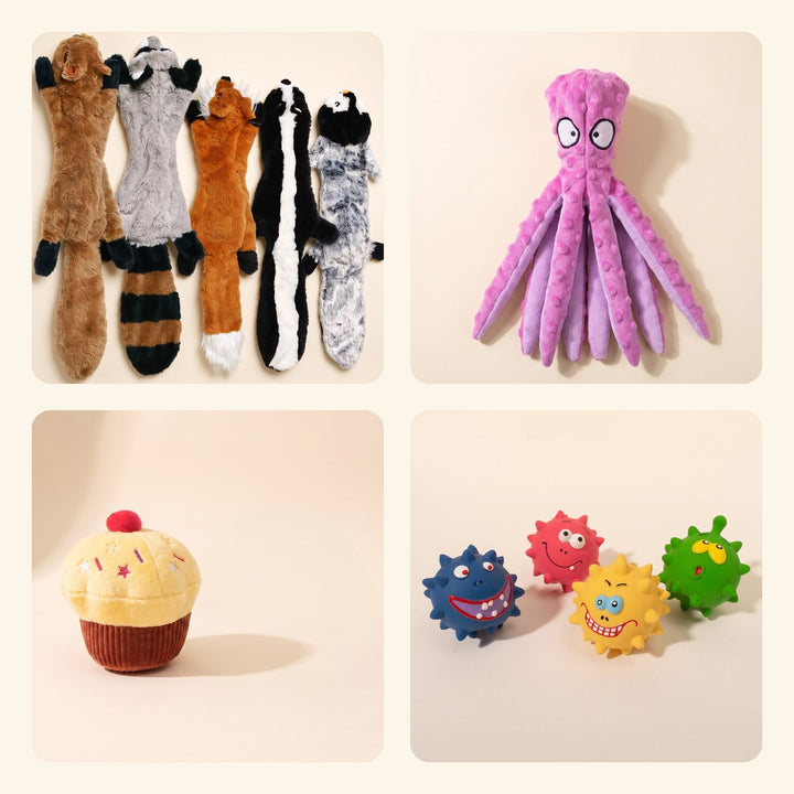 Squeaky Toy Bundle