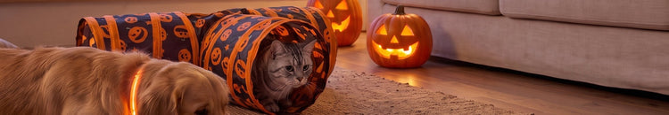 Halloween Shop