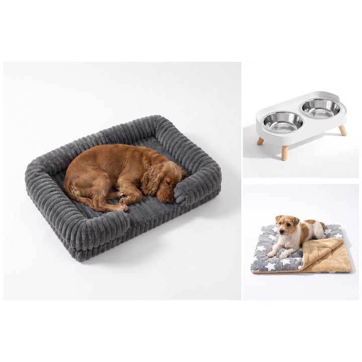 Puppy Starter Bundle
