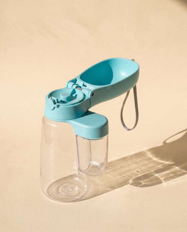 Water and a snack in one