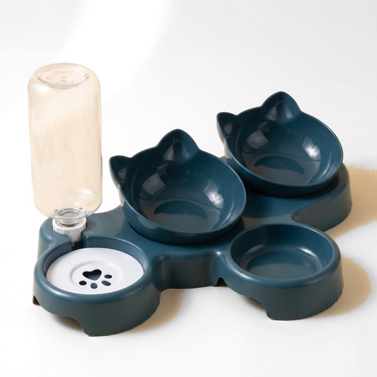 Tilted Bowl Set with Water Bottle