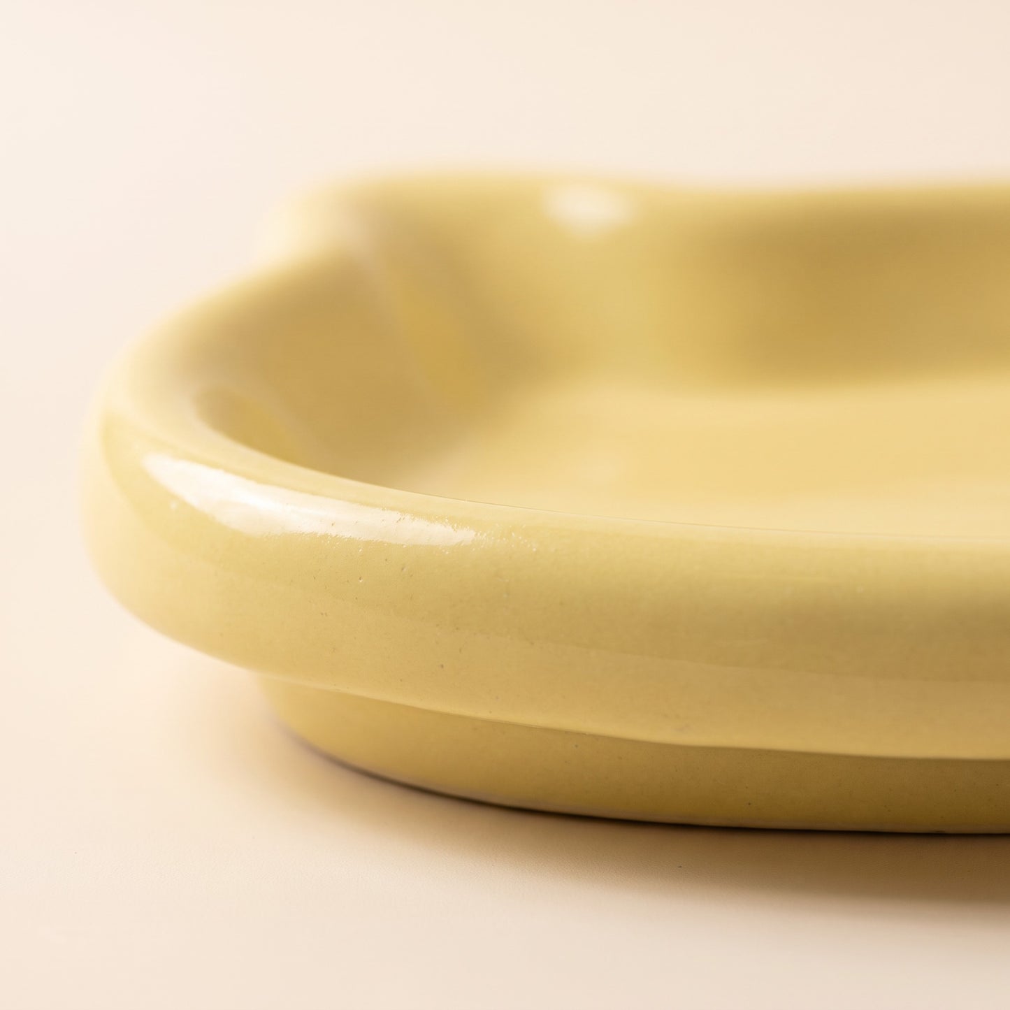 Whisker-Friendly Cat Dish, Wide and Shallow, close-up detail