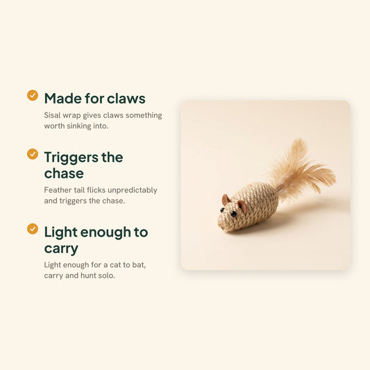 Sisal Mouse Cat Toys with Feather Tails, key benefits