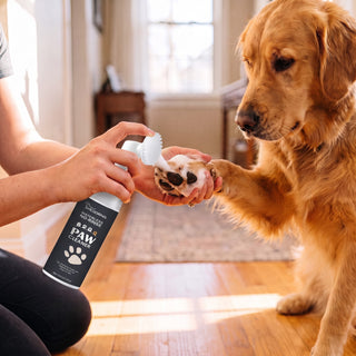 No-Rinse Paw Cleaning Foam with Brush Cap