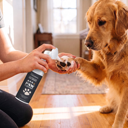 No-Rinse Paw Cleaning Foam with Brush Cap, in use at home