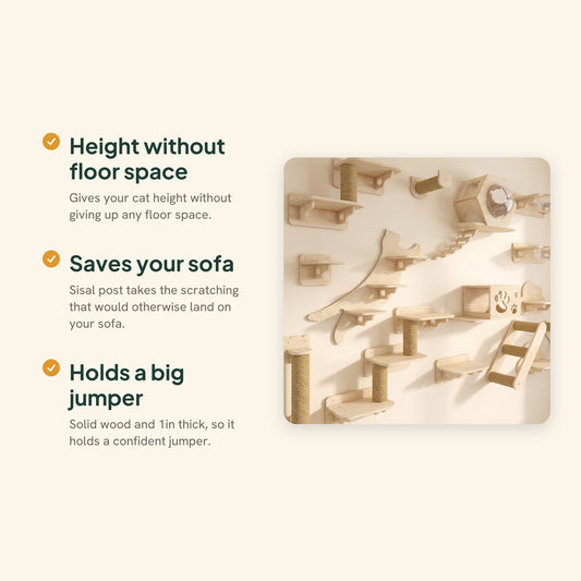 Wall-Mounted Cat Shelves with Sisal Post, key benefits