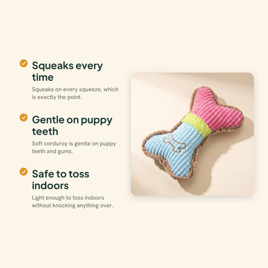 Squeaky Plush Bone Toy for Dogs, key benefits