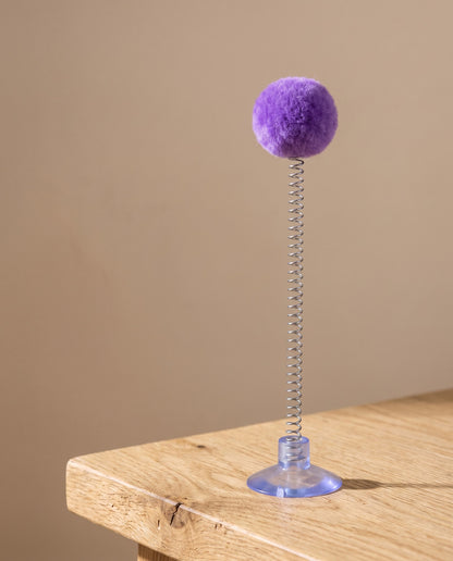 Suction Cup Spring Ball Cat Toy, styled in a home setting