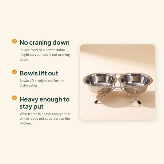 Elevated Double Bowl Feeder Stand, key benefits
