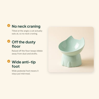 Elevated Tilted Cat Bowl, Anti-Tip, key benefits