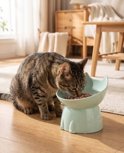 Elevated Tilted Cat Bowl, Anti-Tip, in use at home