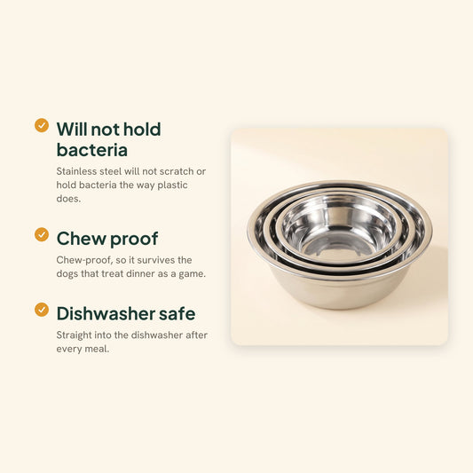 Stainless Steel Pet Bowls, Non-Slip, key benefits