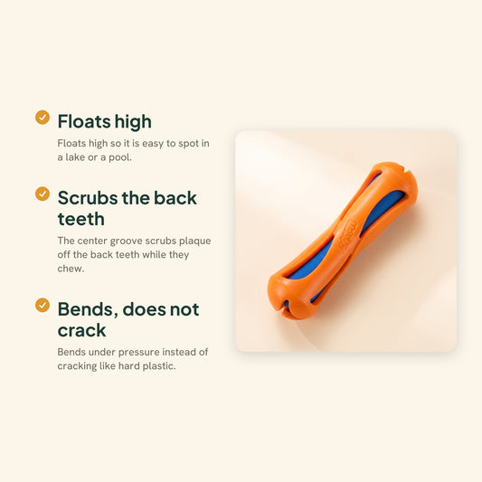 Floating Fetch Stick for Dogs, Teeth-Cleaning Groove, key benefits