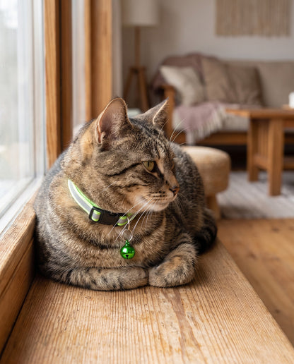 Reflective Cat Collar with Bell, 2 Pack, in use at home