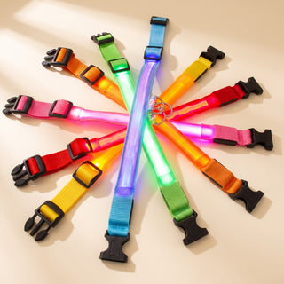 LED Rechargeable Dog Collar, 3 Modes