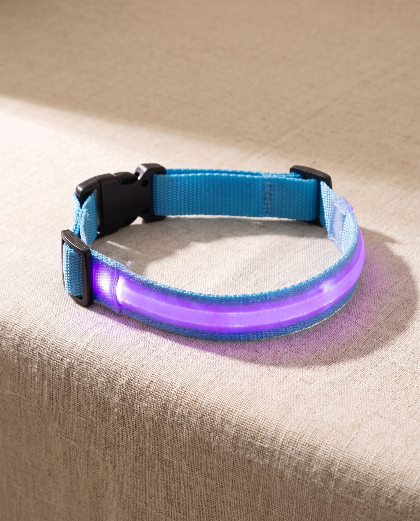 LED Rechargeable Dog Collar, 3 Modes, styled in a home setting
