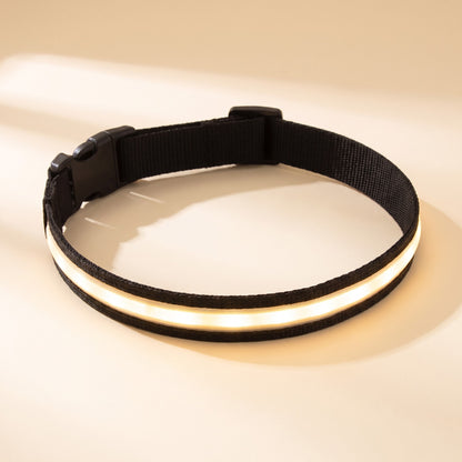 LED Rechargeable Dog Collar, 3 Modes in Black