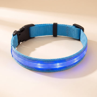 LED Rechargeable Dog Collar, 3 Modes in Blue