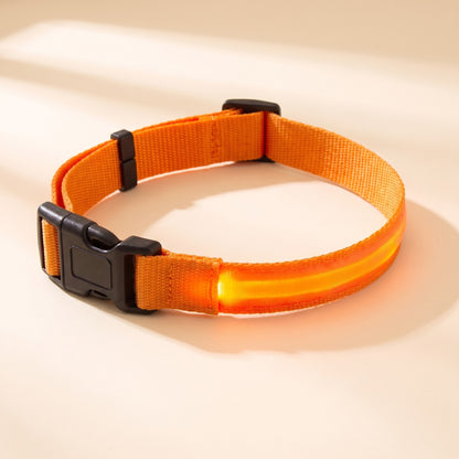 LED Rechargeable Dog Collar, 3 Modes in Orange