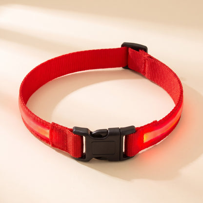 LED Rechargeable Dog Collar, 3 Modes in Red