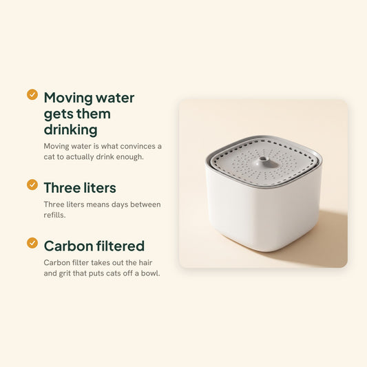 3L Cat Water Fountain, Filtered and Quiet, key benefits