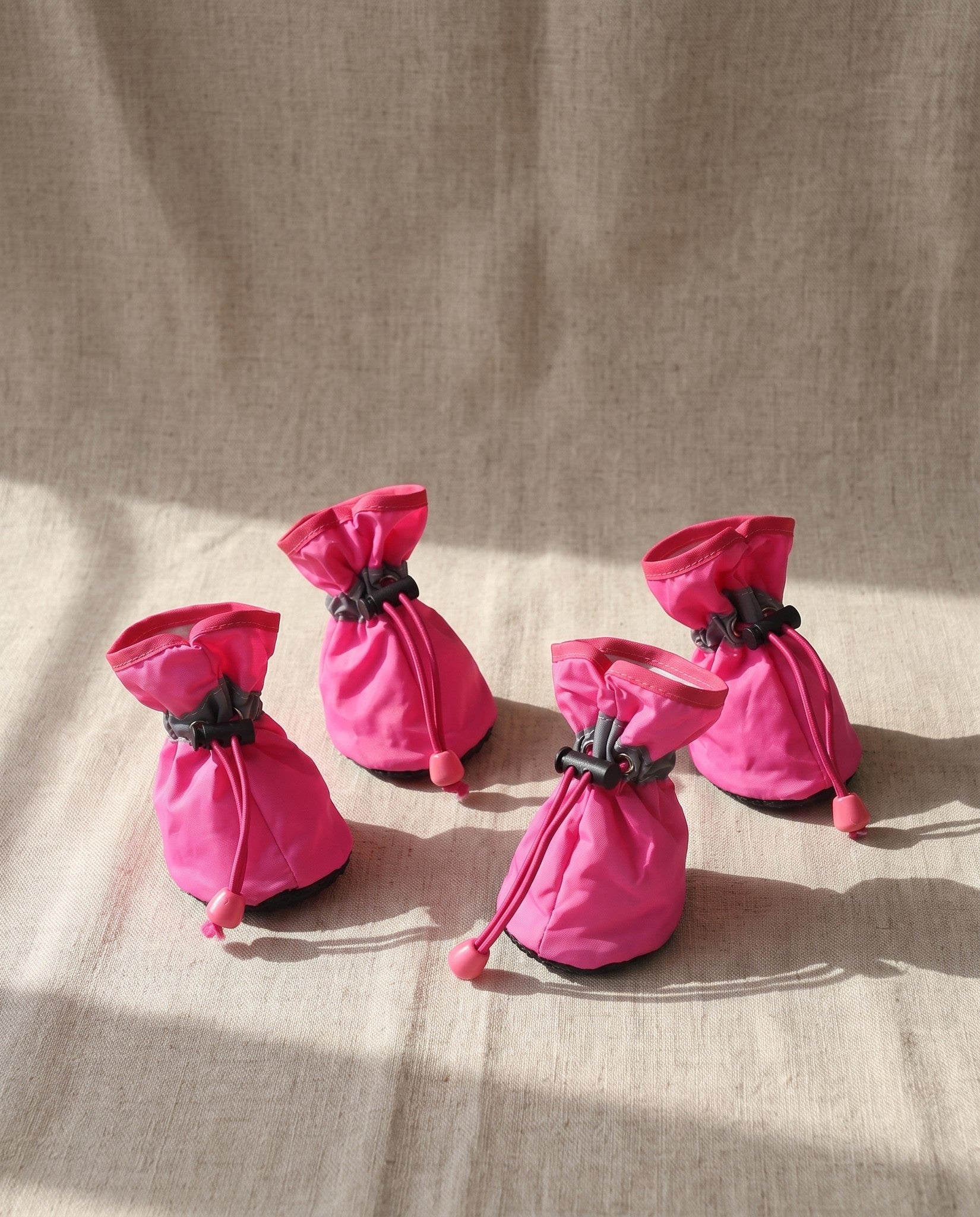 Waterproof Dog Rain Boots, Set of 4, styled in a home setting