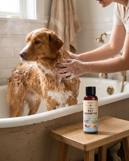 5-in-1 Pet Shampoo, Coconut and Honey, in use at home