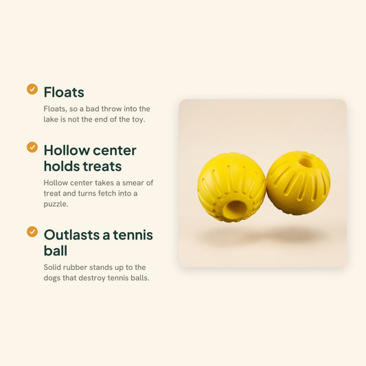 Floating Rubber Treat Ball for Dogs, key benefits