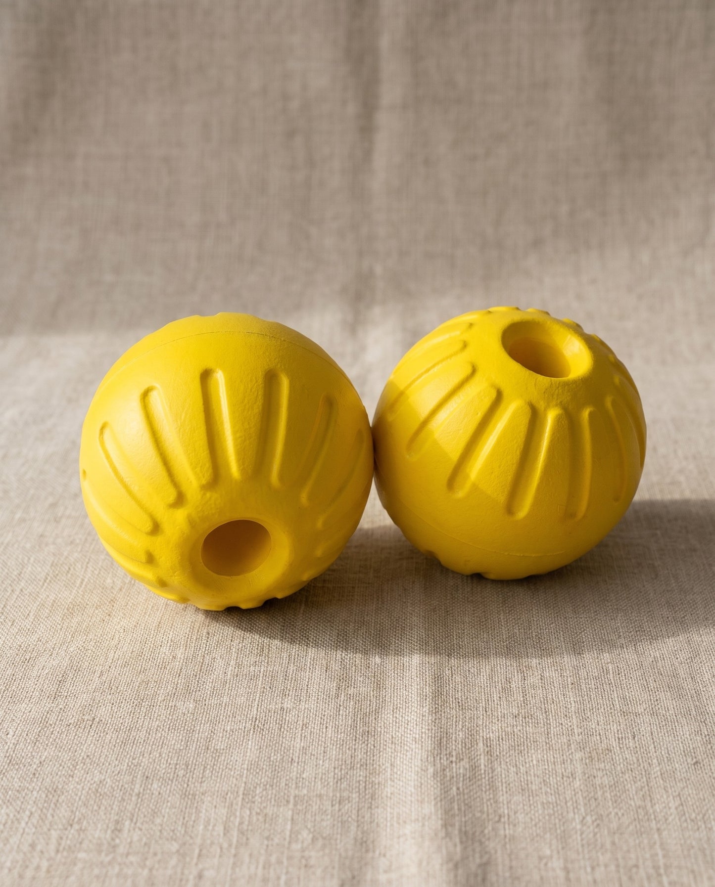 Floating Rubber Treat Ball for Dogs, styled in a home setting