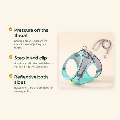 Soft Mesh Step-In Harness and Leash Set, key benefits