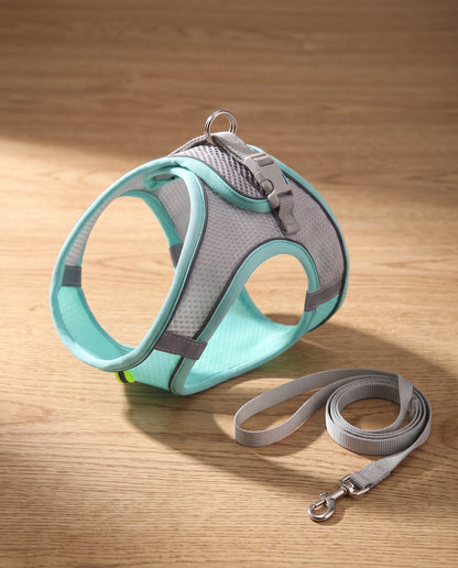 Soft Mesh Step-In Harness and Leash Set, styled in a home setting