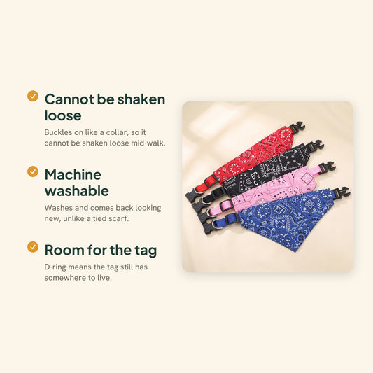 Adjustable Pet Bandana Collar, key benefits