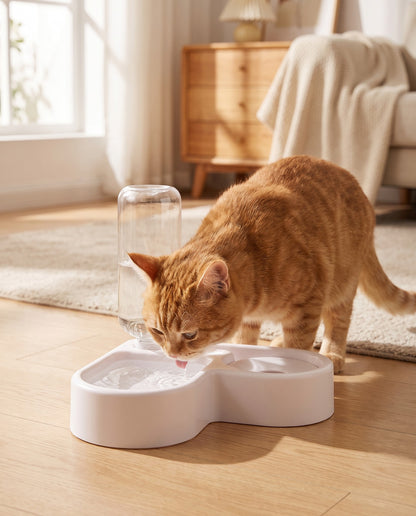 Gravity Water and Food Bowl Set, in use at home