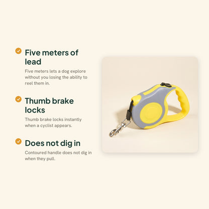 Retractable Dog Leash, 5m, key benefits