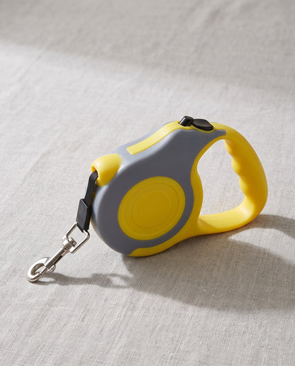 Retractable Dog Leash, 5m, styled in a home setting