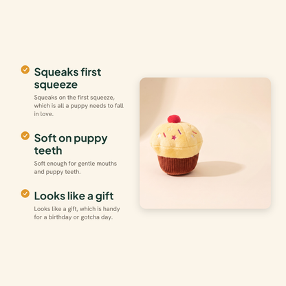 Squeaky Cupcake Plush Dog Toys, key benefits
