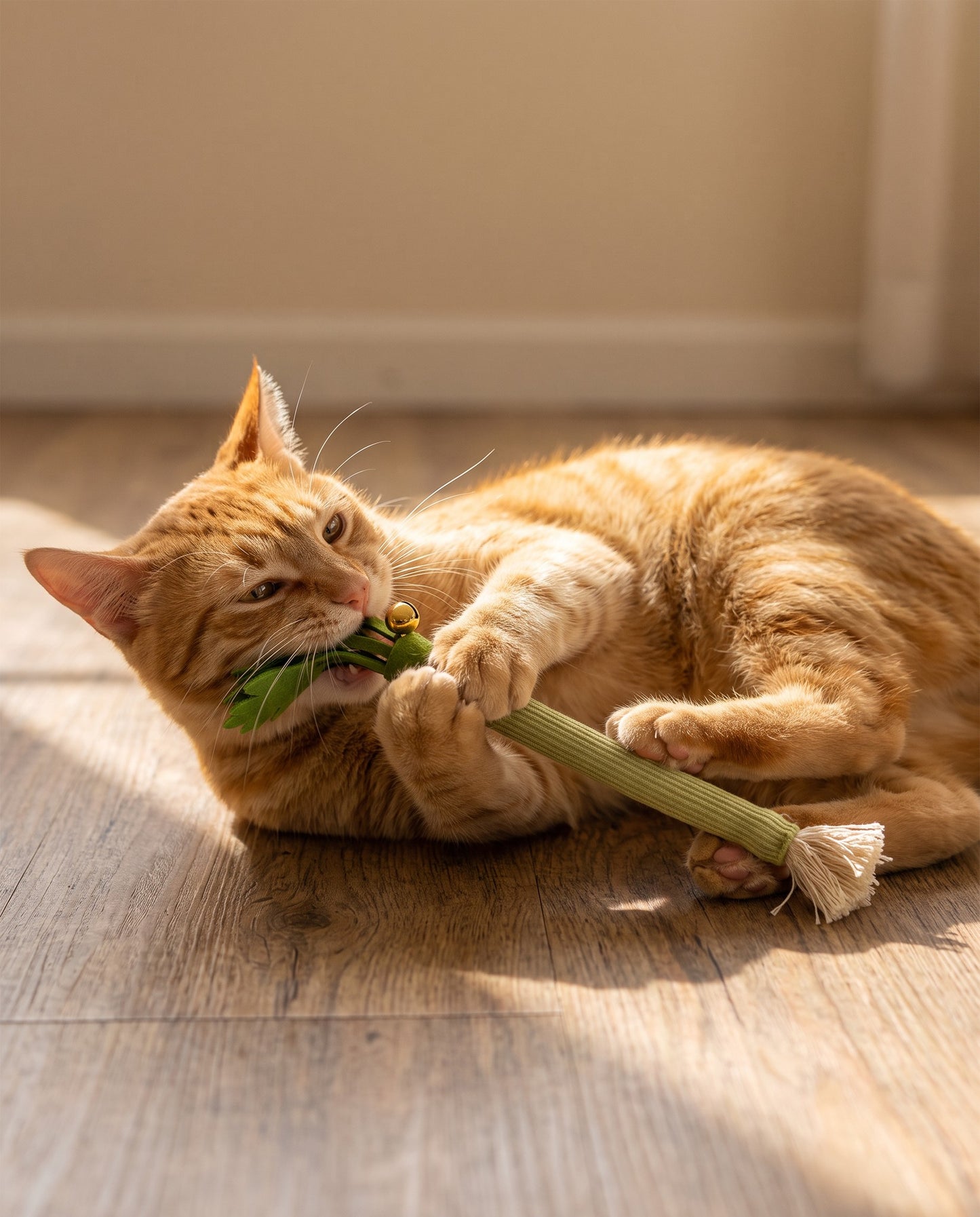 Catnip Celery Chew Sticks for Cats, in use at home
